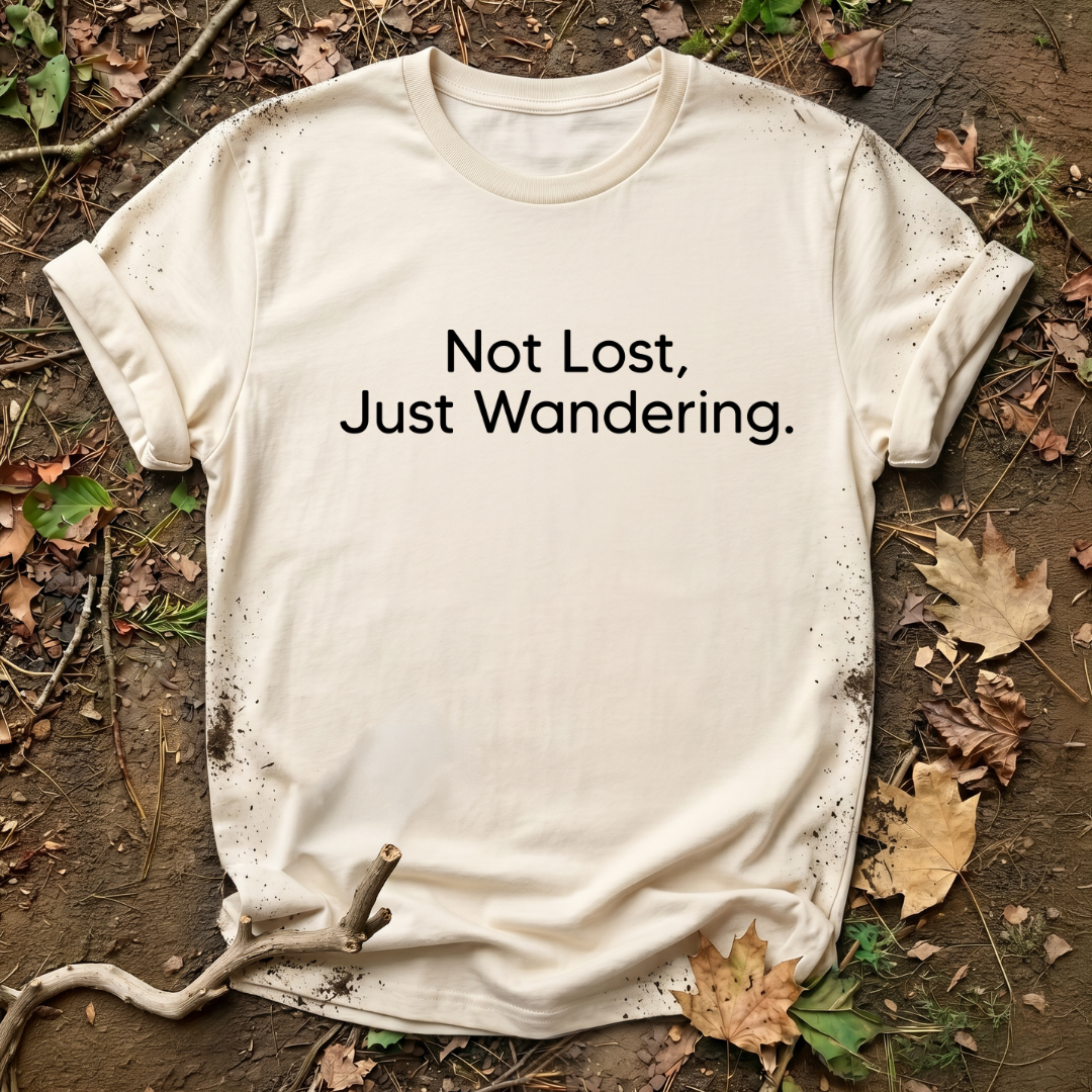 Not Lost, Just Wandering