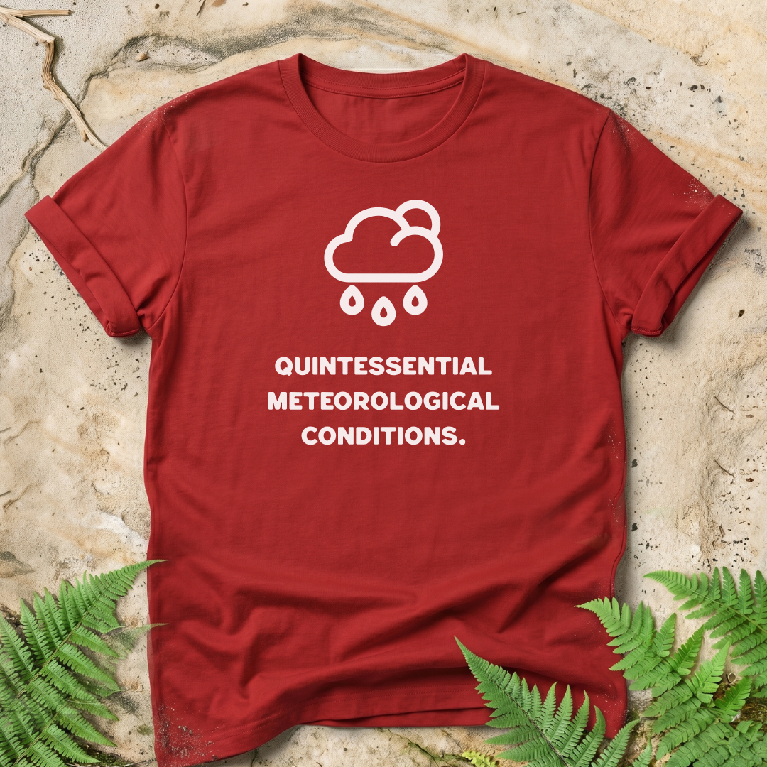 Quintessential Meteorological Conditions
