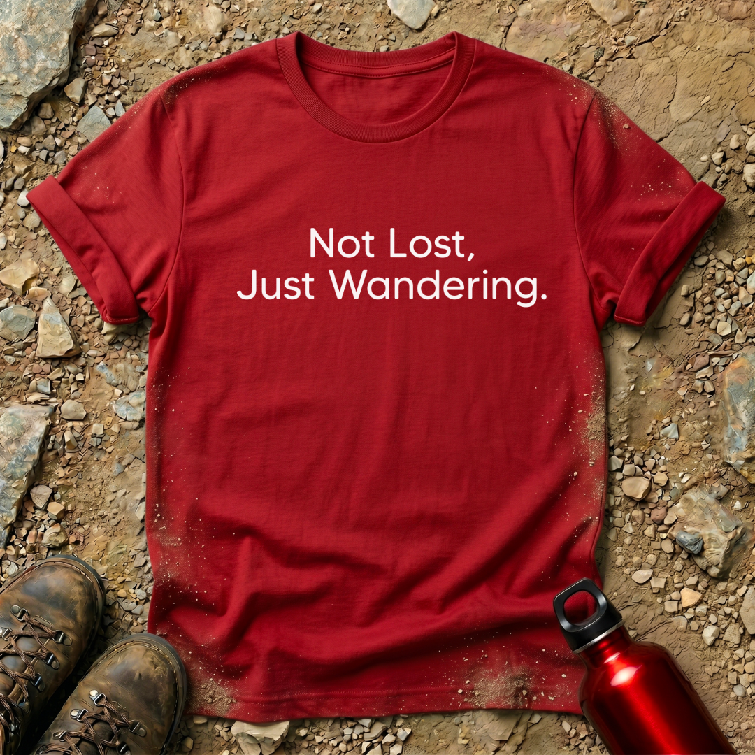 Not Lost, Just Wandering