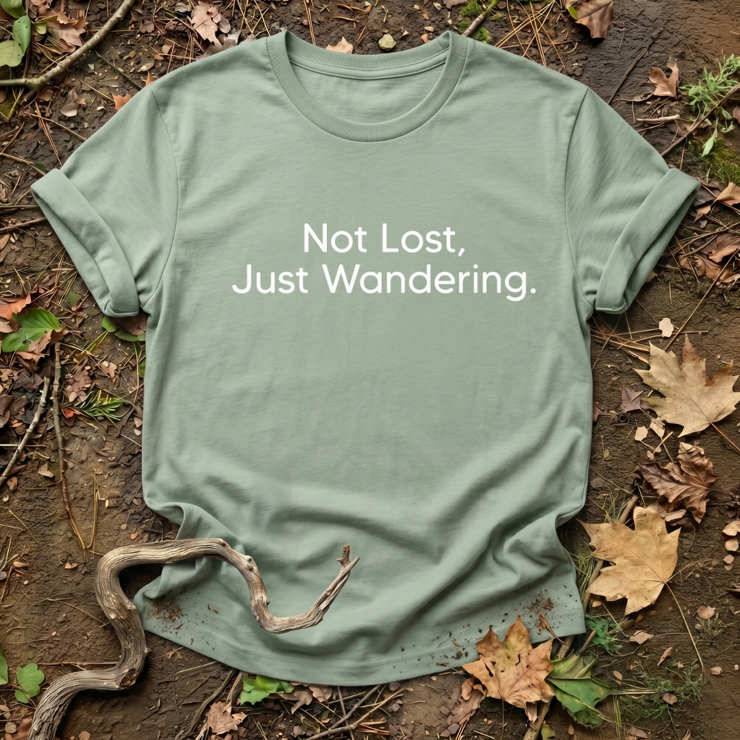 Not Lost, Just Wandering