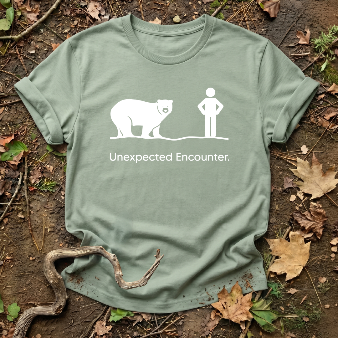 Unexpected Encounter Bear