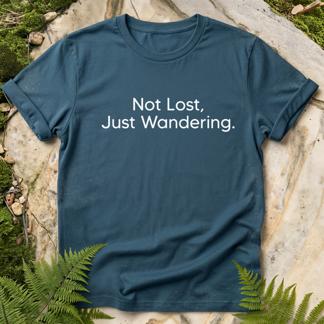 Not Lost, Just Wandering
